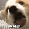Besitos!