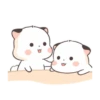 Little cute fatty cat 19