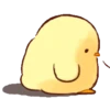 🐥 Pollito🐥 9