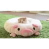 °     ❀   🦴    ⋆  💗      ࿔  12