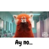 RED 🐼🔴 14