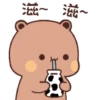 Panda Gemoy 13 18