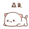 Bubududu 17