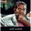 Telugu 11