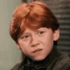 GIFs Harry Potter 18