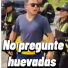 Varios gata 20