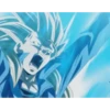 Dragon Ball Heroes 10