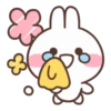 🫘•Bunny•🫘 6