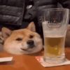 Pa la Peda 6