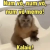 "Macaquin" boladão kkk 9