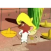 Gallina 8