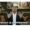WHAT IS HAPPENING?