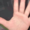 Hgsc 8