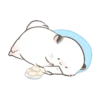 Bucin lucu 17