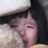 Tao tao 23