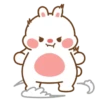Bunny gif / kelinci  18