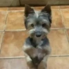 🔥 TIKTOK RAMDON 1.1📱 15