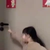 Tao tao 13