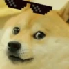 Doge animated stickers 13