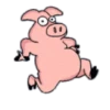 Pig babi 15