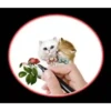 Random, Random ᥬ😁᭄  25