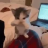 Virales Comentarios TikTok 📲 15