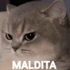 Memes figurinhas  29