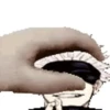 Jujutsu Kaisen 5