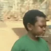 Aki pawpaw (Osita iheme) 8