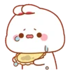 Kelinci gemoy  6