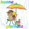 BUONANOTTE BUONGIORNO  29