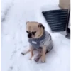 GIFs Bixins com Frio 🥶 7