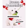 BUONANOTTE BUONGIORNO  15