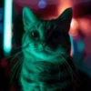 TikTokTrend Turnthelightsoff✨ 19