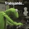 Rana René #2🐸 15