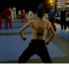 Cobra kai 8