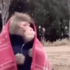 FRIO DO TARAIU 5
