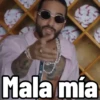 Varios gata 23