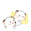 Little cute fatty cat 7