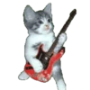 Gatos para el chat 🐱🤣 17