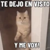 NO ME DEJES EN VISTO ✔️✔️😾 13