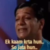 Ek kaam krta hun.. So jata hun..
