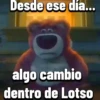 Varios gata 24