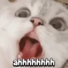 ahhhhhhhh
