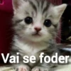 Memes figurinhas  17