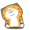 Happy Cat GIF 😸 14