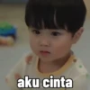 Babywoojoo 8