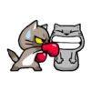 Meow 1 7