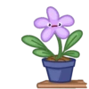 Flowers 6