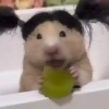 🎵 TIKTOKeando 39🎵 20